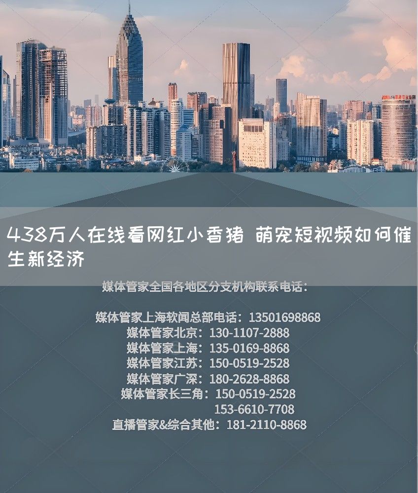 438万人在线看网红小香猪 萌宠短视频如何催生新经济